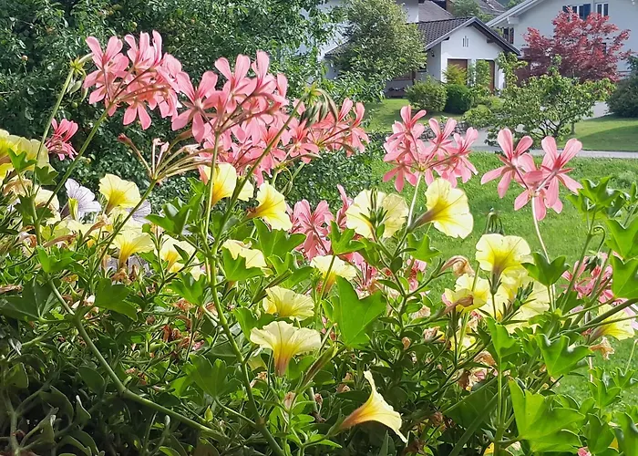 Apartment Keßler Edigna